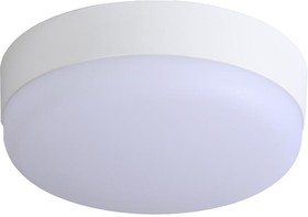Светильник светодиодный "Банник" 12Вт IP54 микроволновый датчик с дежурным режимом